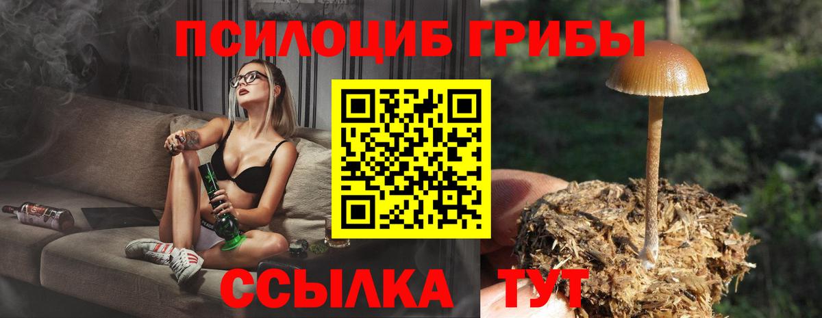 Иркутск  Псилоцибиновые грибы мухоморы  Псилоцибиновые грибы GOLDEN TEACHER  Вход с VPN 